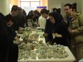 گزارش تصویری از کارگاه آموزشی متالوژنی(فلزایی) ایران - نمایشگاه سنگ های زینتی و بازدید از معادن سنگ در معلمان